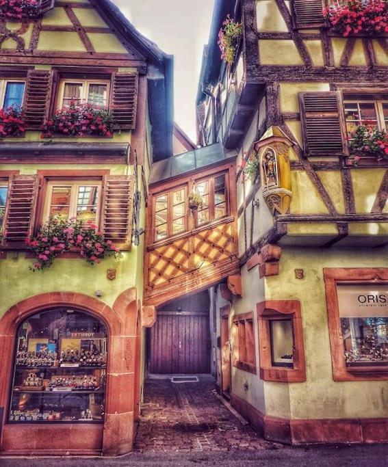 Le Petit Bali Apartment Selestat Exterior photo